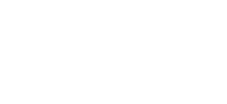 Logo-teesing-systems
