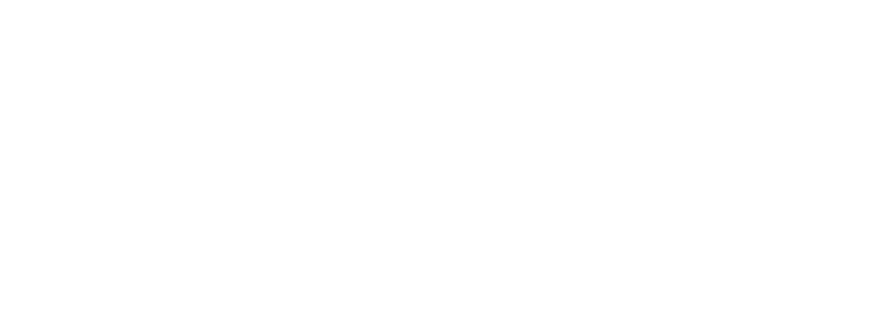 logo-teesing